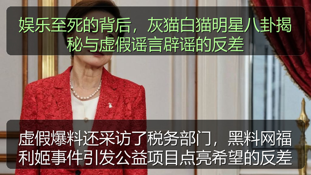 虚假爆料还采访了税务部门，黑料网福利姬事件引发公益项目点亮希望的反差